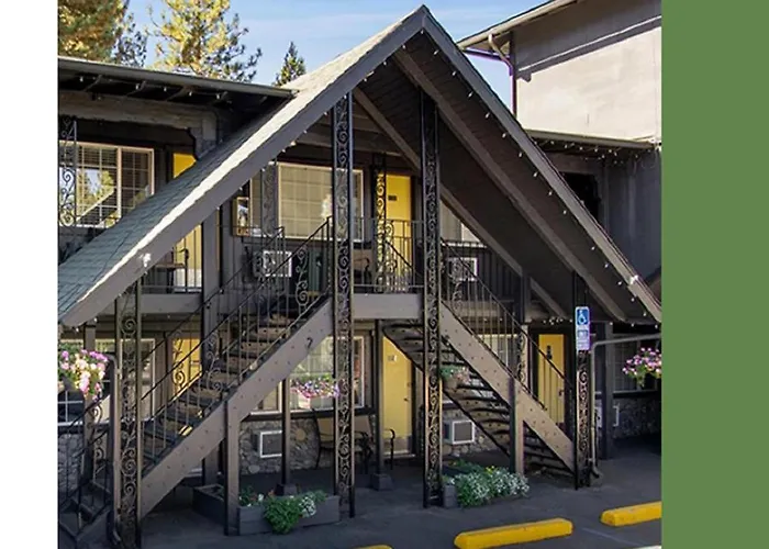 South Lake Tahoe Dog Friendly Lodging and Hotels